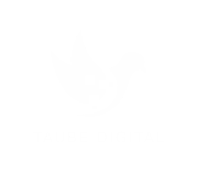 taube-digital.com